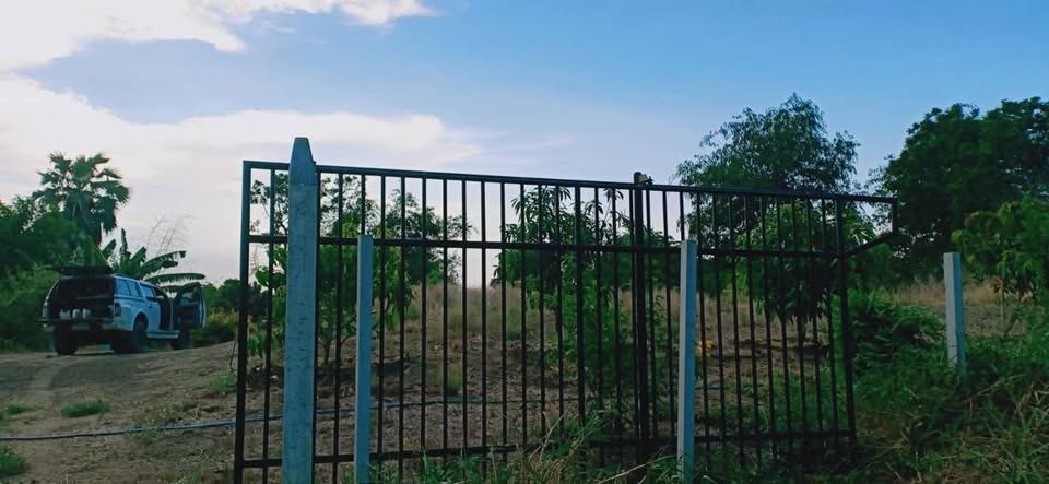 ที่ดินริมคลองบางปลาหมอ เสนา อยุธยา 325 ตร.ว. ถมแล้ว น้ำไม่ท่วม — รูปที่ 3 จาก 8