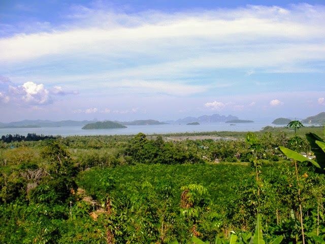 ที่ดินวิวทะเล 13 ไร่ ป่าคลอก ภูเก็ต บนเนินเขา มองเห็นอ่าวพังงา 180 องศา — รูปที่ 5 จาก 10