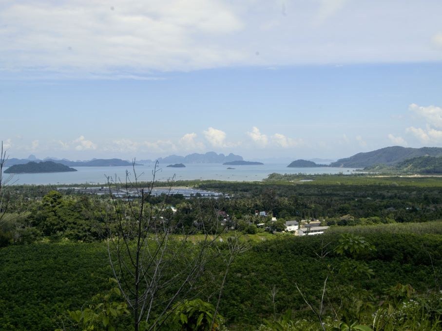 ที่ดินวิวทะเล 13 ไร่ ป่าคลอก ภูเก็ต บนเนินเขา มองเห็นอ่าวพังงา 180 องศา — รูปที่ 8 จาก 10