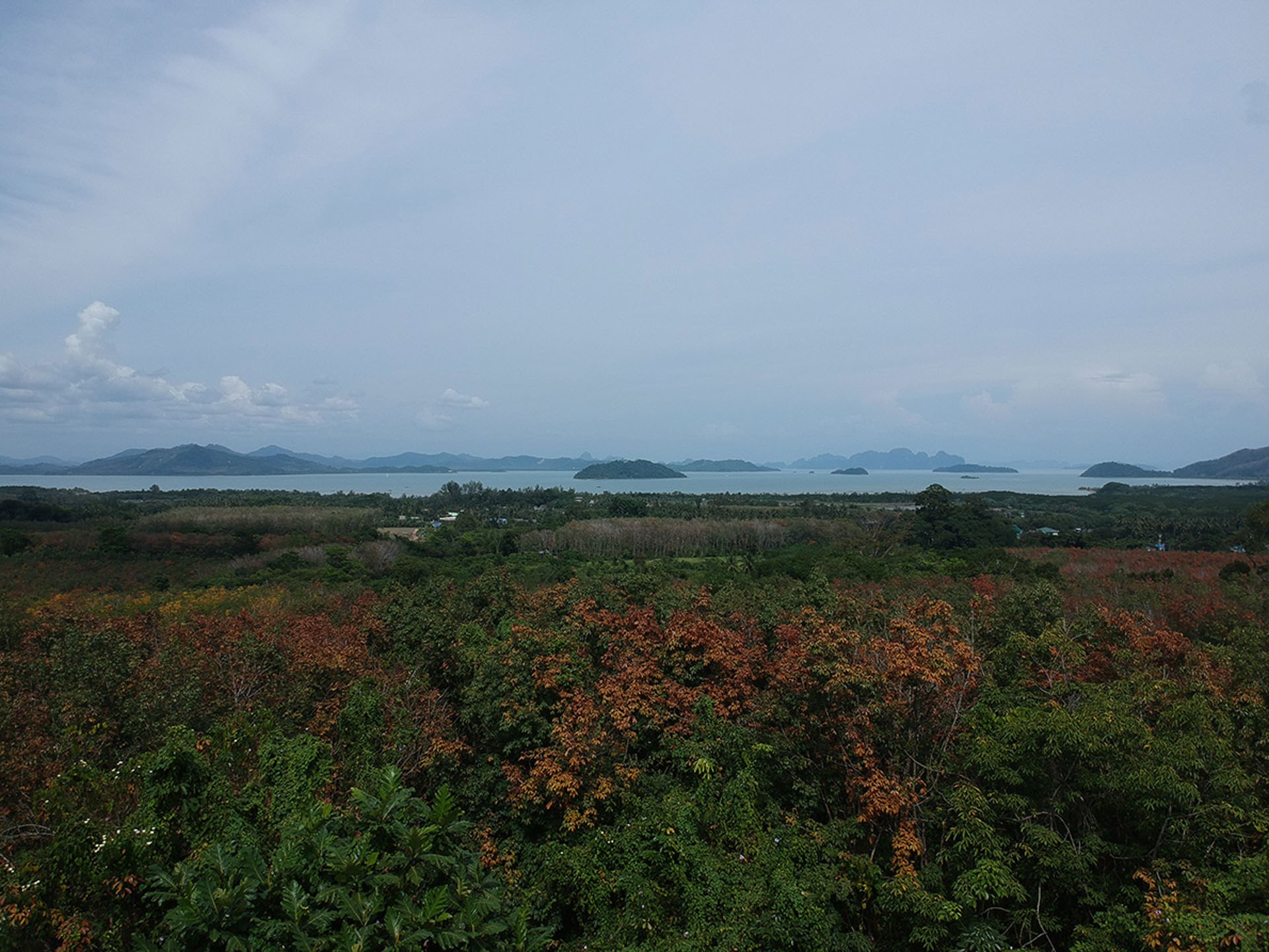 ที่ดินวิวทะเล ป่าคลอก ภูเก็ต แปลงบนเนิน มองเห็นอ่าวพังงา — รูปที่ 2 จาก 10