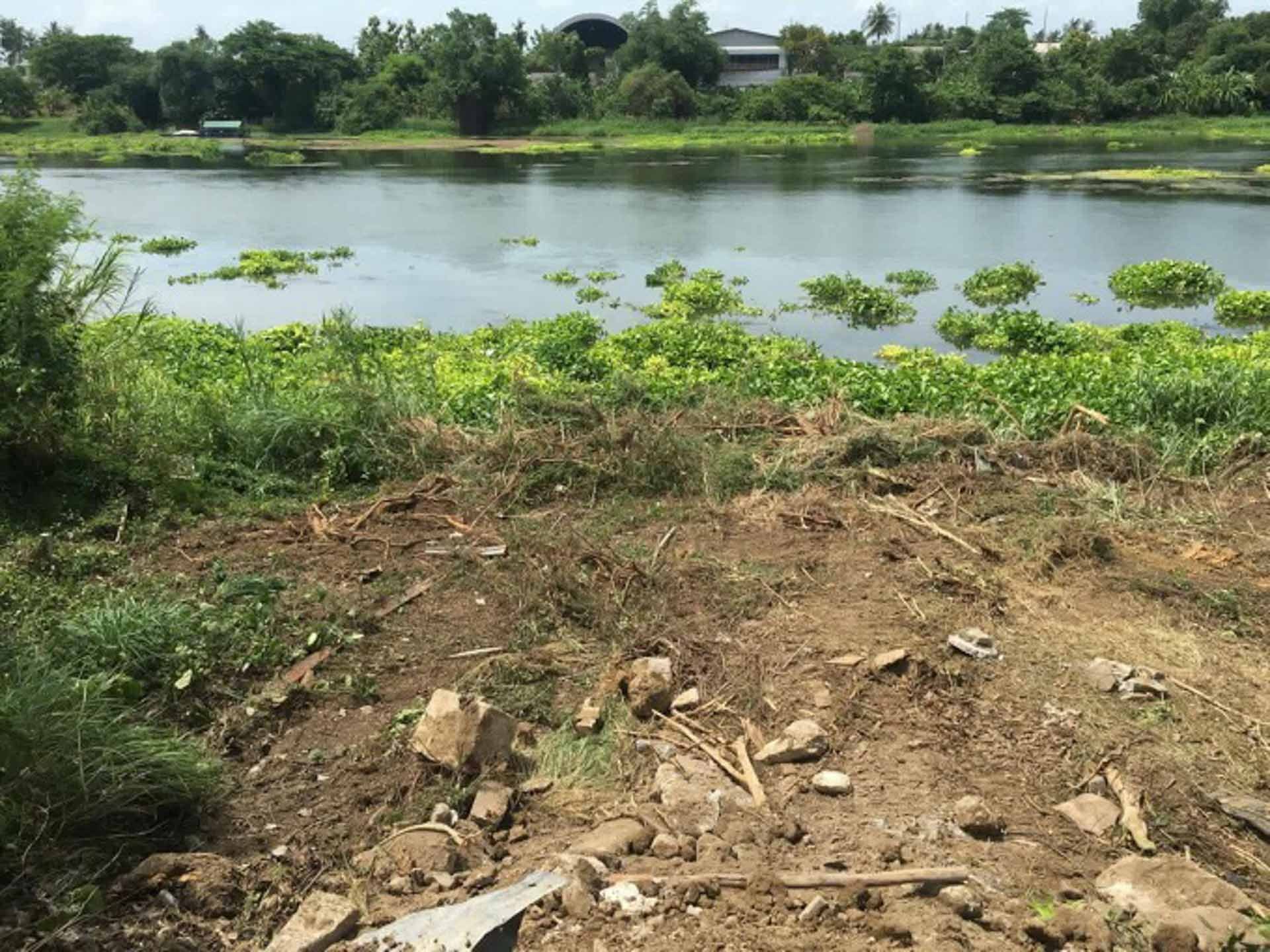 ที่ดินริมแม่น้ำแม่กลอง โพธาราม ราชบุรี 59.8 ตร.ว. หน้ากว้างริมน้ำ 24 เมตร — รูปที่ 2 จาก 10